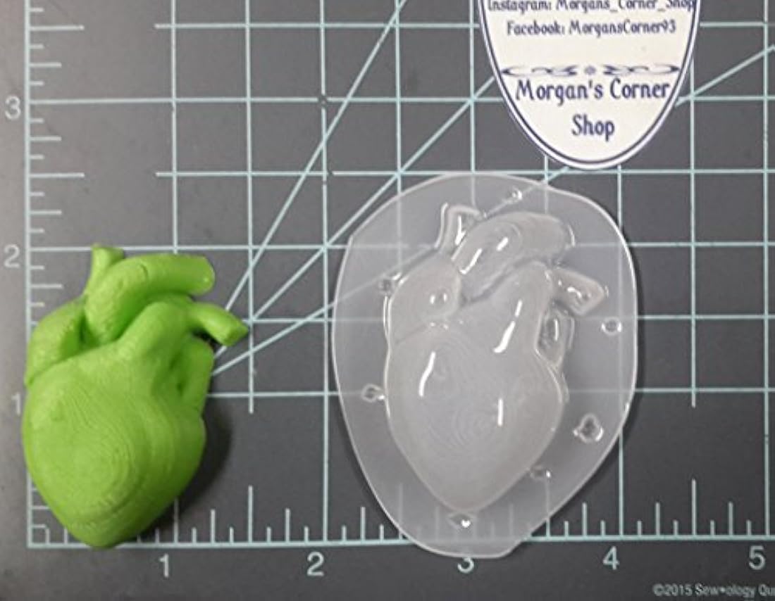 Corazón humano (Tamaño Mediano) Resina Molde de plástico, moho, moho de corazón, la arcilla del moho, jabón moho, de cera, anatomía del moho, moho humanos, Bomba de Baño