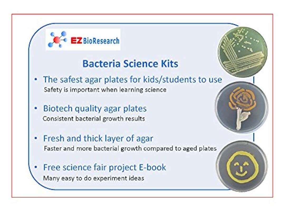 Kit de ciencias de bacterias EZ Bioresearch (IV):