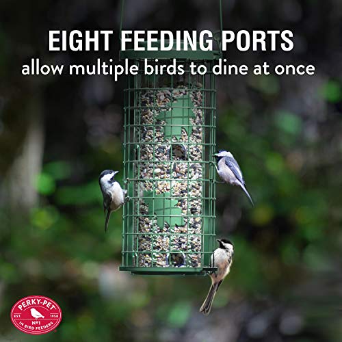 Comedero para pájaros salvajes, Verde 114G Perky-Pet