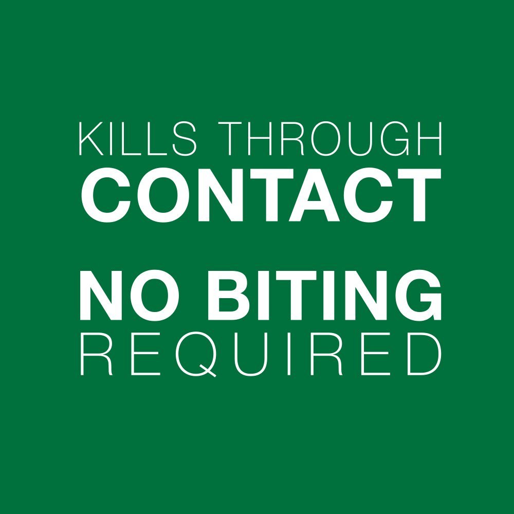 Bayer Advantage II para gatos grandes de más de 9 libras