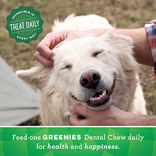 Original Petite Chews dentales para perros