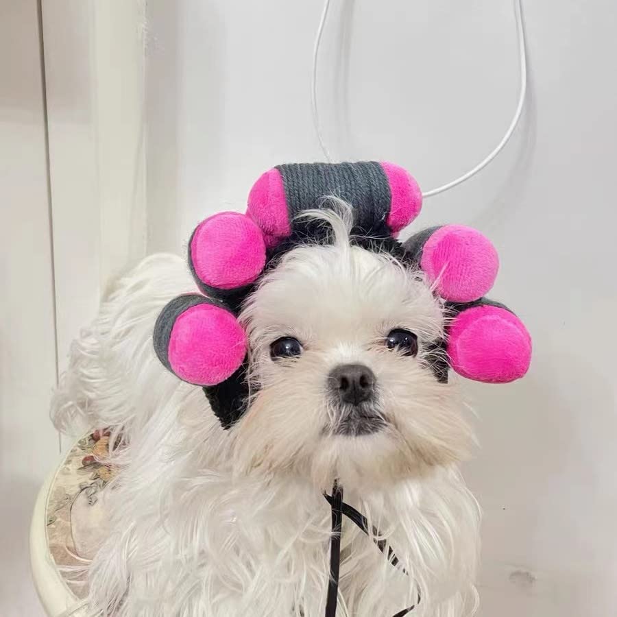 Dog Wig Curly Hair Dog Hat Pet Dog Costume Adjustable Dog Wigs for Small Dogs Cat Wig Funny Pet Hat Dog Head Wear Apparel Toy for Halloween, Parties and Photo Shoots