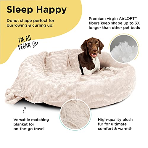 Cama original para perros tamaños XL