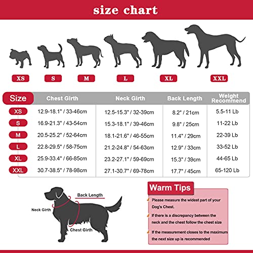 Kuoser Chaleco salvavidas para perros con rayas reflectantes, chaleco salvavidas ajustable de alta visibilidad, salvavidas para perros pequeños, medianos y grandes