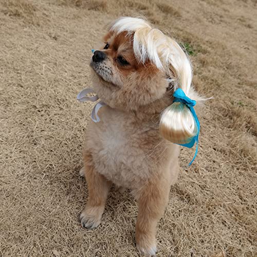 Divertido disfraz de perro, disfraz de mascota