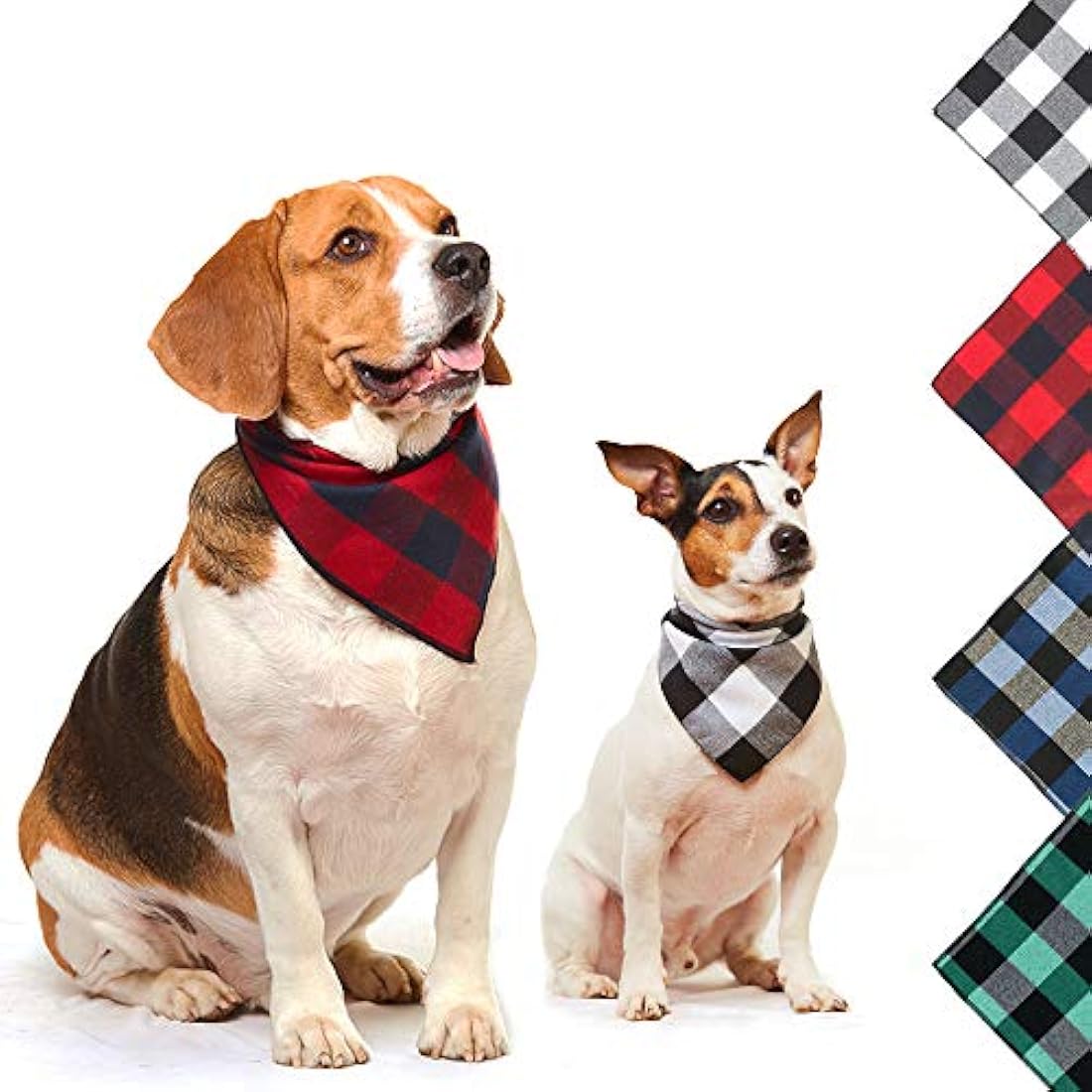 Accesorios para perros pequeños, medianos, grandes.