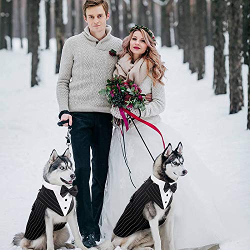 DISFRAZ estilo esmoquin Dog Tuxedo Dog Suit and Bandana Set, Dogs Tuxedo Wedding Party Suit, Dog Prince Wedding Bow Tie Shirt Formal Dog Weeding Attire for Large and Medium Dogs Golden Retriever Samo Bulldogs