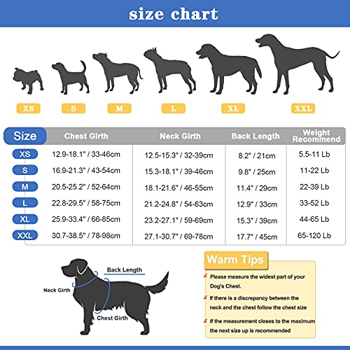 Chaleco salvavidas para perros con rayas reflectantes, chaleco salvavidas ajustable de alta visibilidad, salvavidas para perros pequeños, medianos y grandes