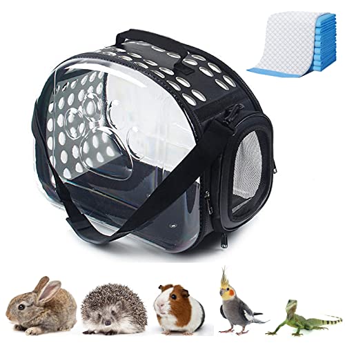 TRANSPORTADOR de conejillos de Indias, portador de hámster, portátil, transpirable, bolsa de transporte transparente para conejito, erizo, marten, transportador de animales pequeños (negro)