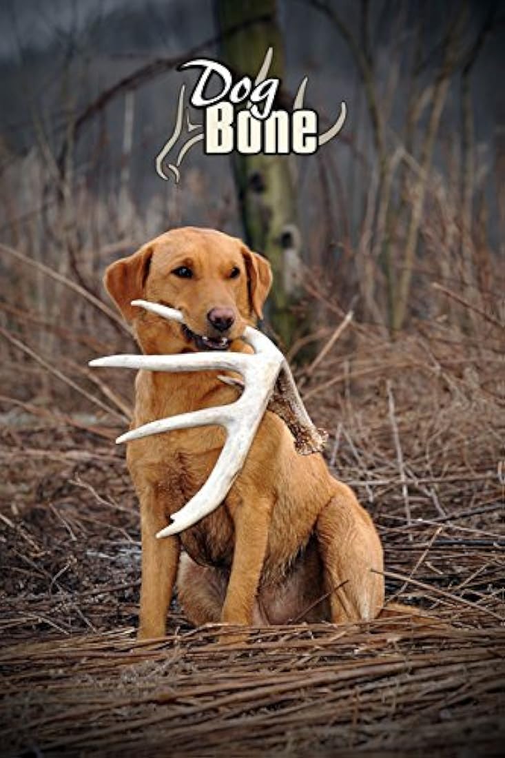 DogBone - Sistema de recuperación de cuernos para perros