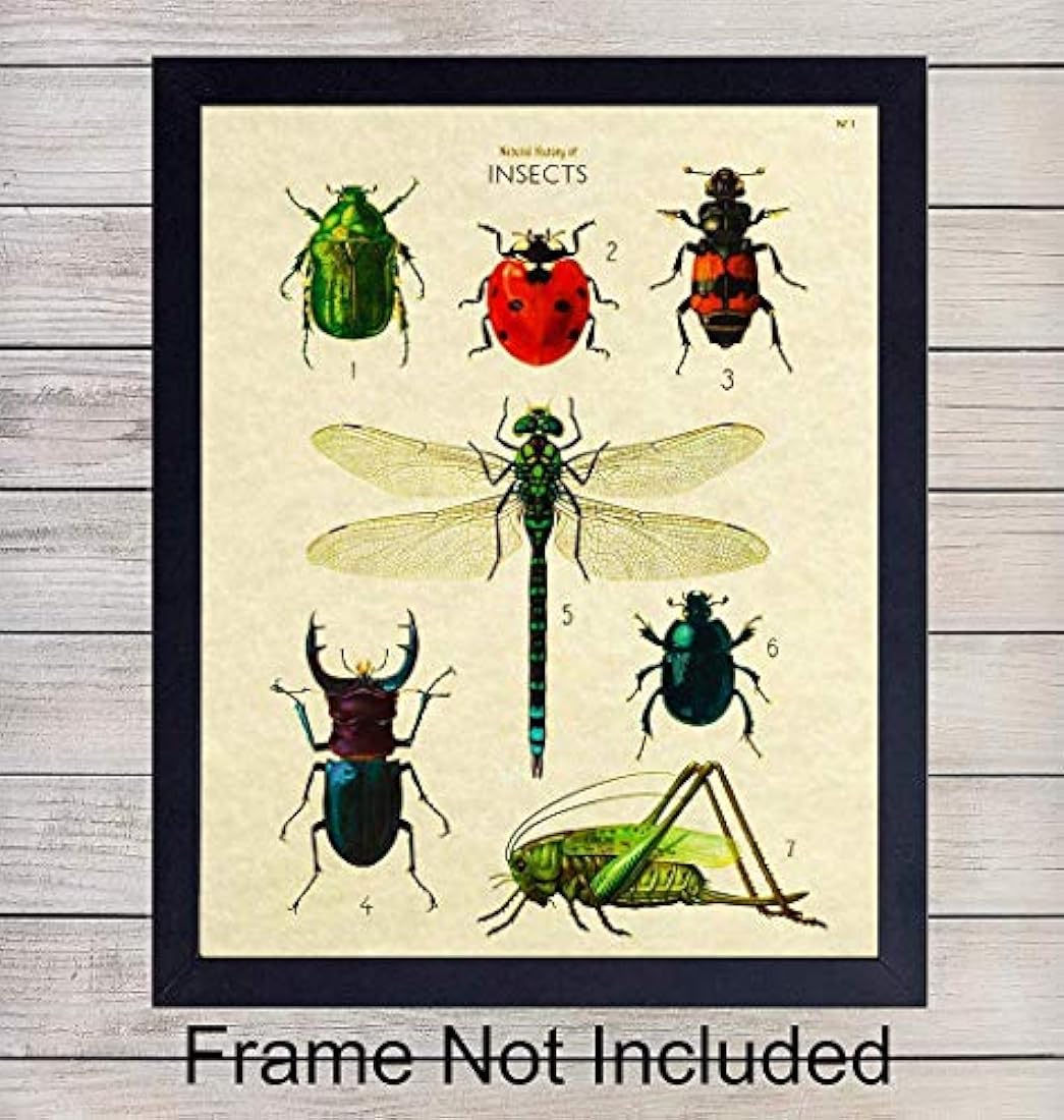 póster de arte de pared 8x10 póster de error científico