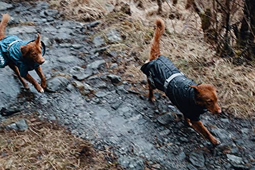 Hurtta Monsoon Coat Chubasquero para perro BlackBerry