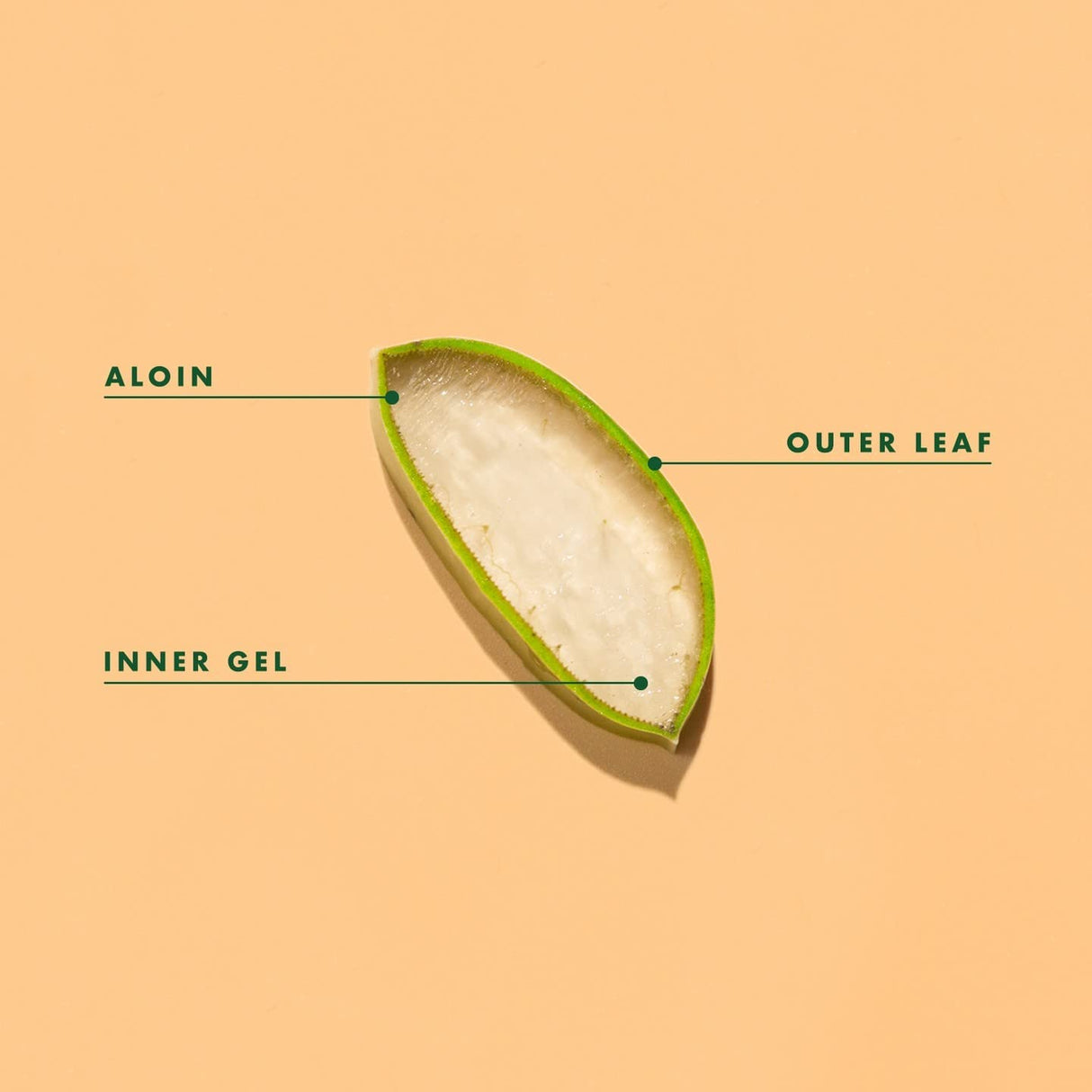 Bebida de jugo de aloe vera dietética vegana e inmunológica