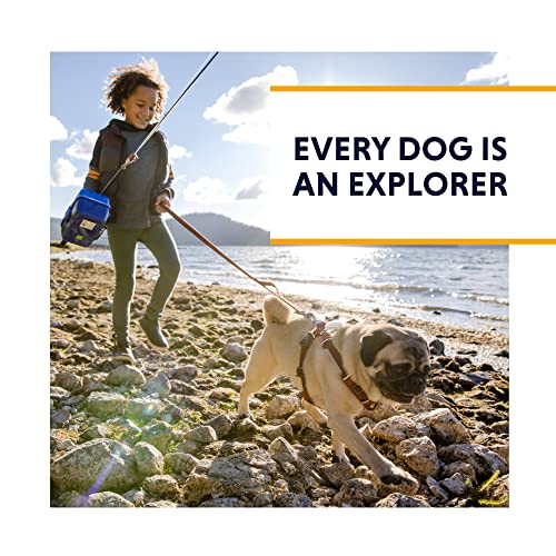 RUFFWEAR, Grip Trex - Botas de perro para exteriores, con suela de goma para senderismo y correr, verde líquen, 1.50 pulgadas