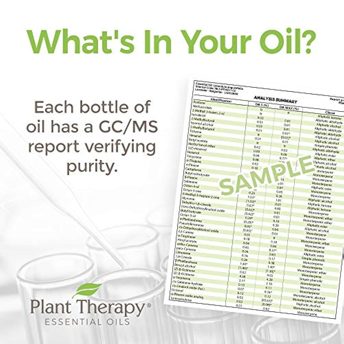 Plant Therapy Juego sinergias de 6 mejores aceite esencial