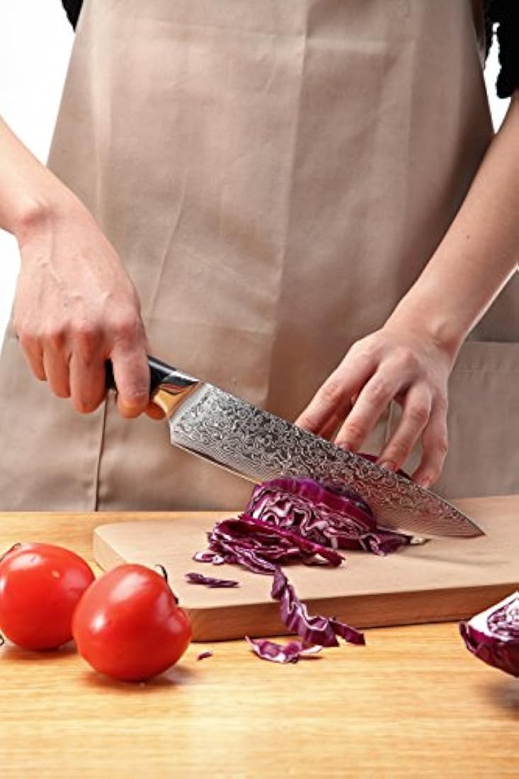 FANTECK cuchillo de chef de 8 pulgadas Damasco Chef cuchillo