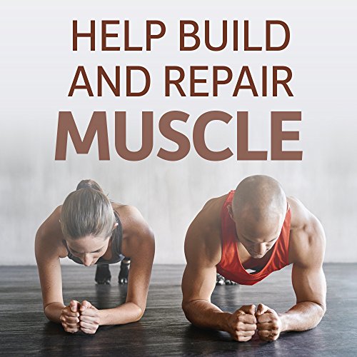 Polvo de proteína vegana orgánica con vitaminas y probiótico