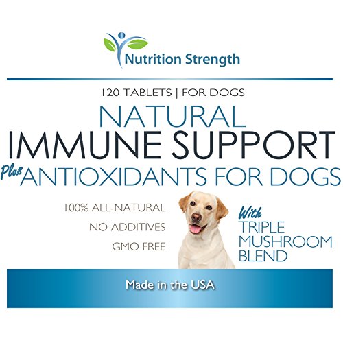 Support para perros más antioxidante 120 tabletas masticable