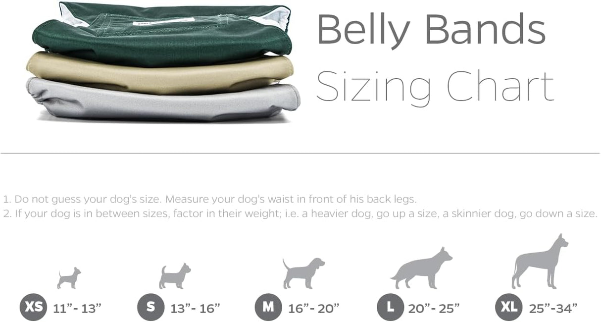 Pet Parents Bandas vientre lavables alta calidad extensores