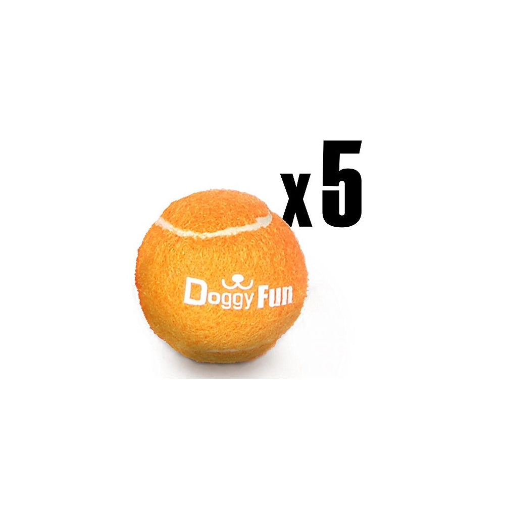 PELOTAS DE JUGUETE NARANJA SERENELIFE PRTSLDGFBLN6 5 PACK