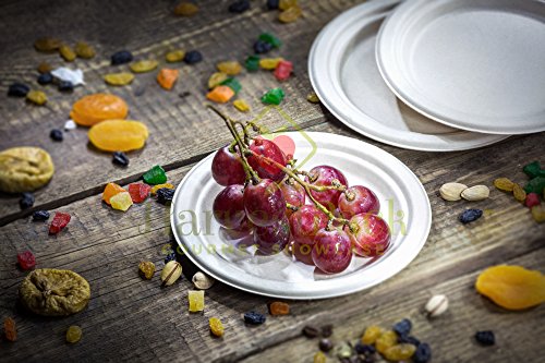 platos  redondos Hecho de fibras vegetales natuturales