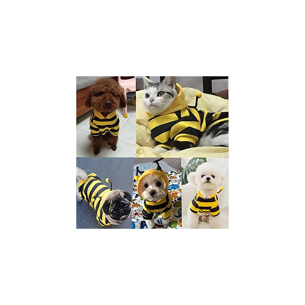 Disfraces de abeja para mascotas talla XS