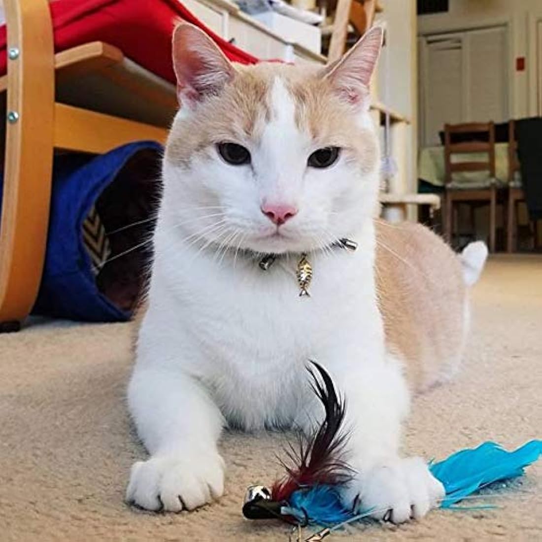 Collar para gato con campana