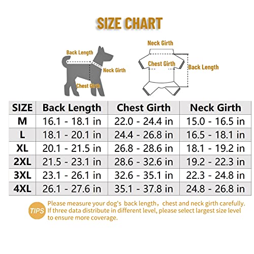 Olsa Chubasquero para perro, poncho con capucha para perro, chaqueta impermeable para perros pequeños, medianos y grandes de 4 patas con rayas reflectantes, transparente a prueba de agua, resistente al agua, ropa de nieve para perros pequeños