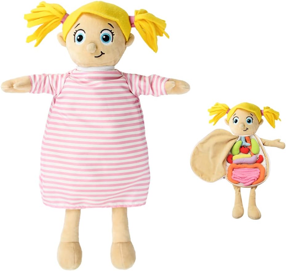 Modelo KAKIBLIN: Juguete anatómico del cuerpo humano para niños