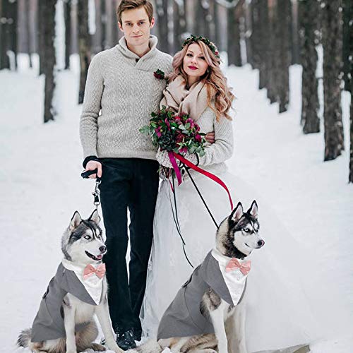 Kuoser - Juego de traje y paliacate para perros grandes y medianos, tema de esmoquin, para bodas
