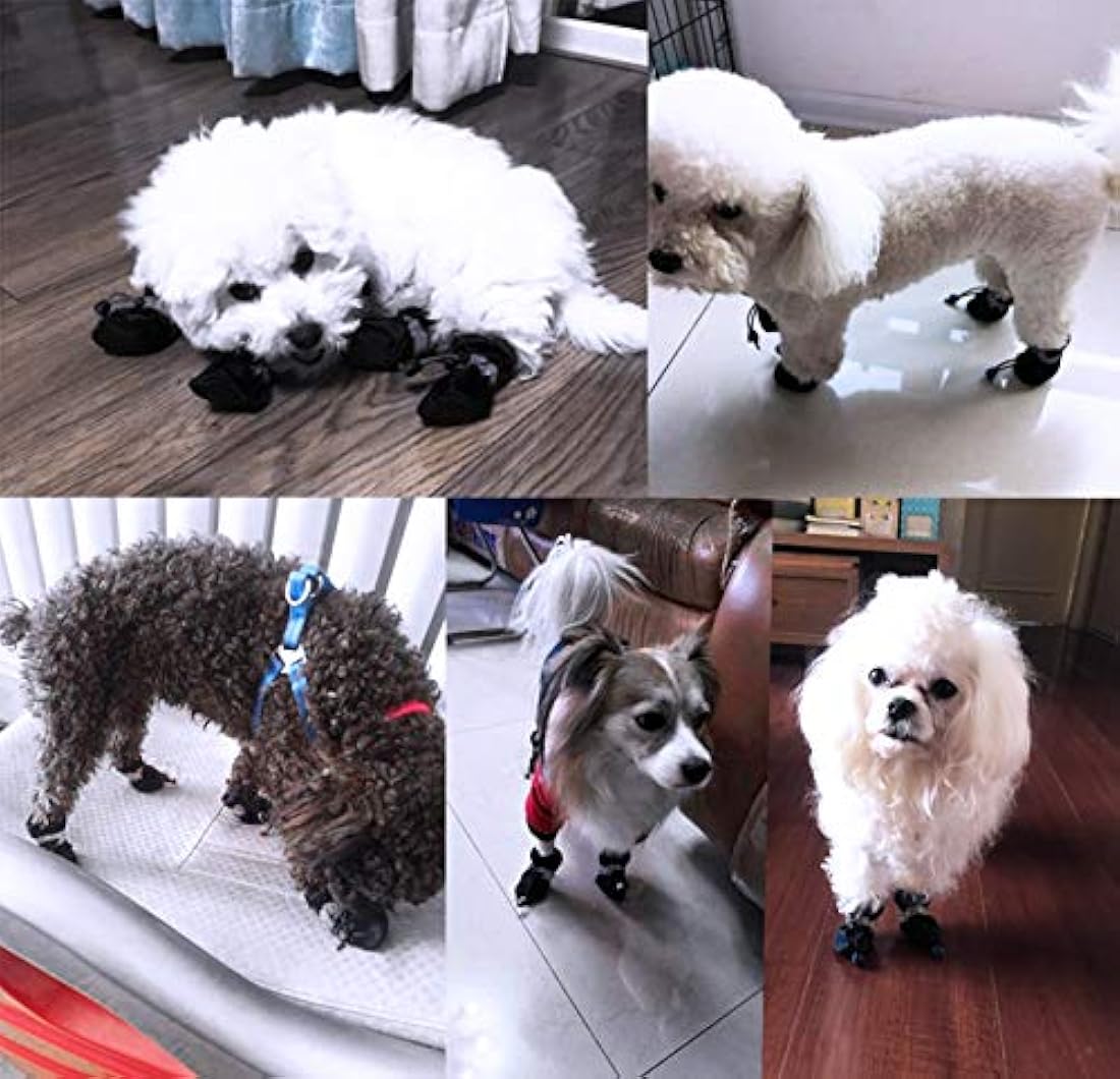 Botas protectoras para perro