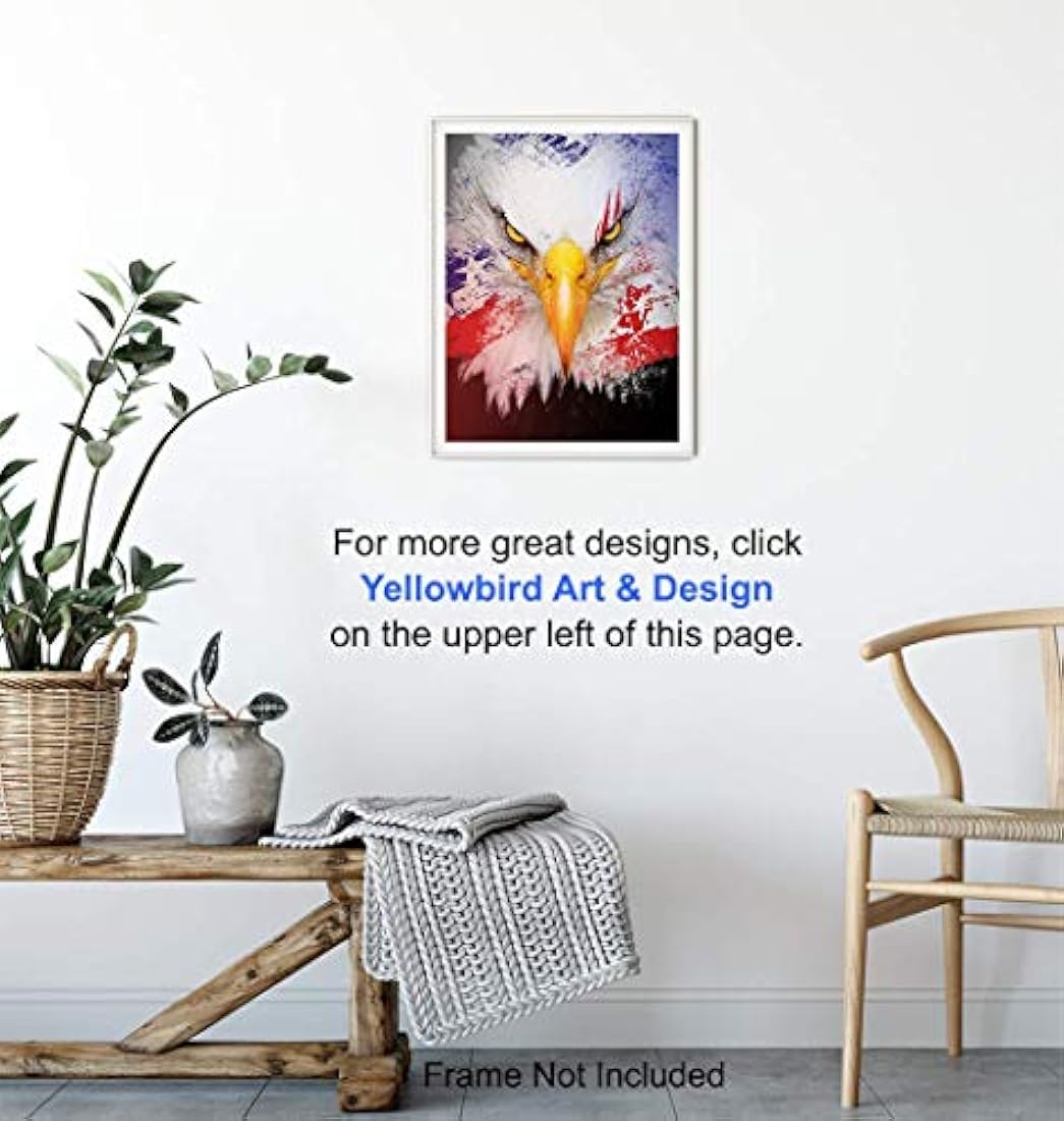 foto sin marco de america de 8x10