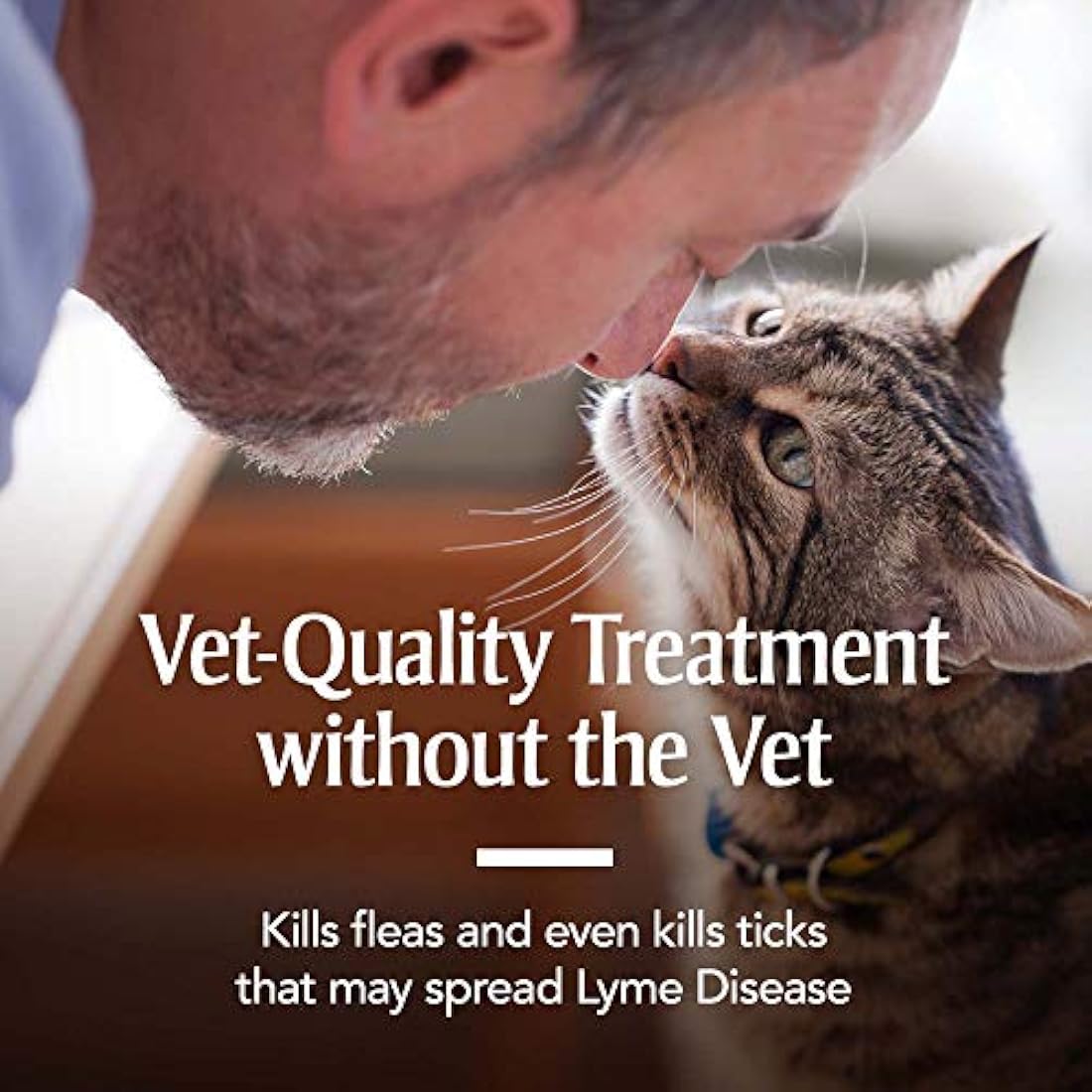 Prevención de pulgas y garrapatas para gatos