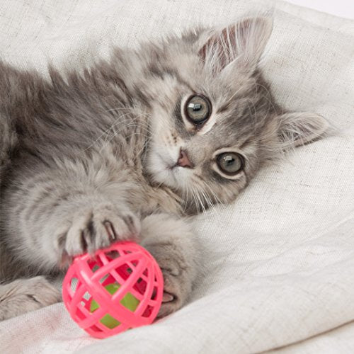 Juguetes para gatos 13 piezas