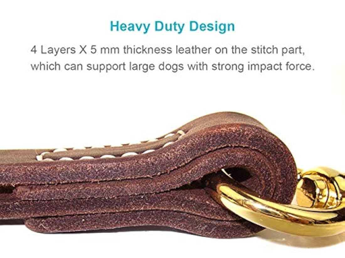 Correa corta de piel para perro 12 pulgadas