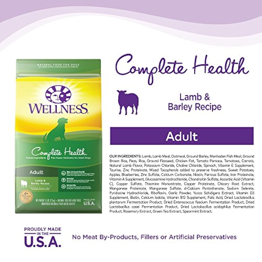 Alimento seco natural para perro Wellness Complete Health