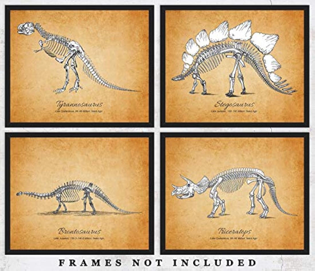 Impresiones de arte de pared de fósiles de dinosaurios