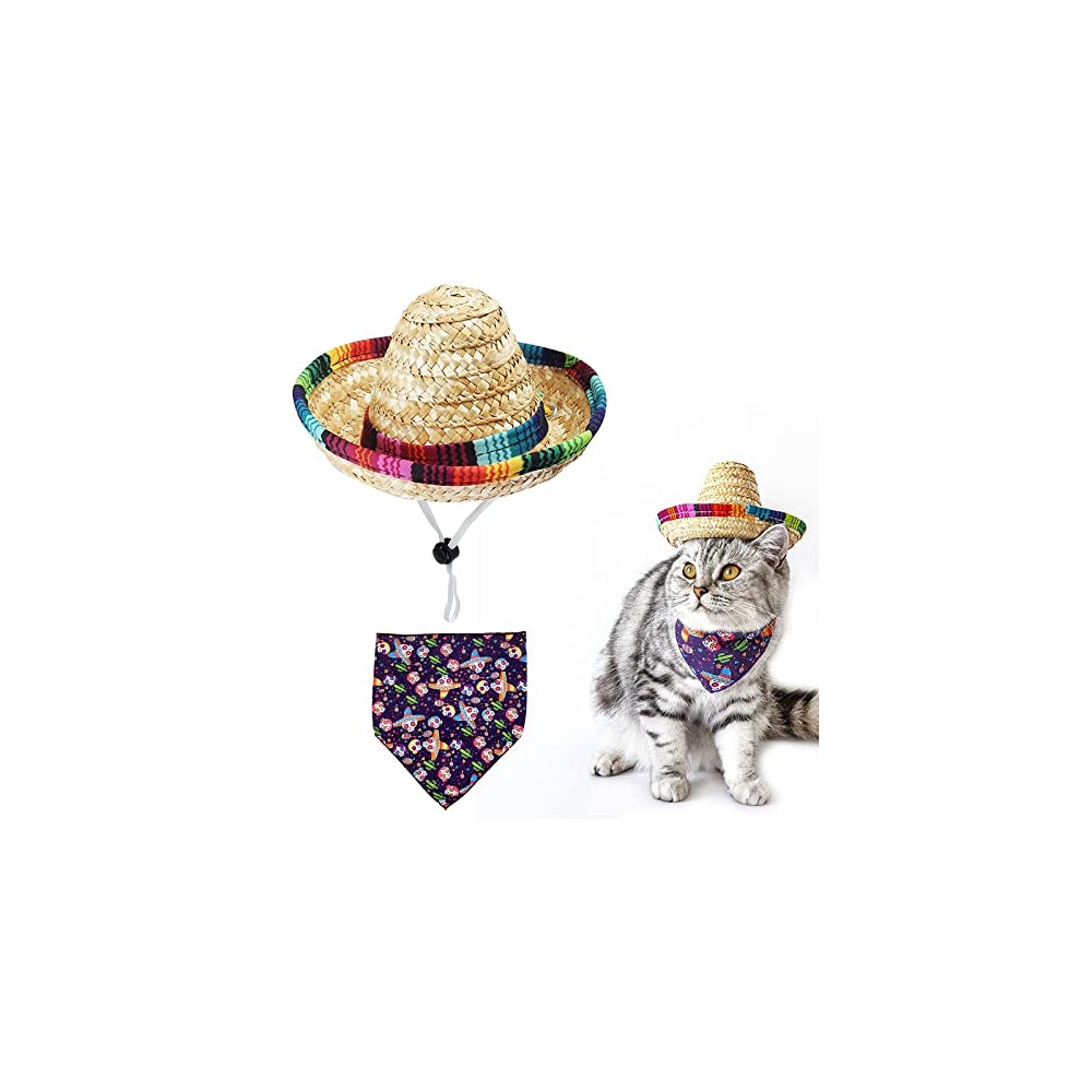 Disfraces de Sombrero para perro talla S