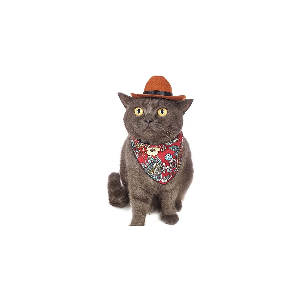 Disfraces de vaquero para mascotas talla S