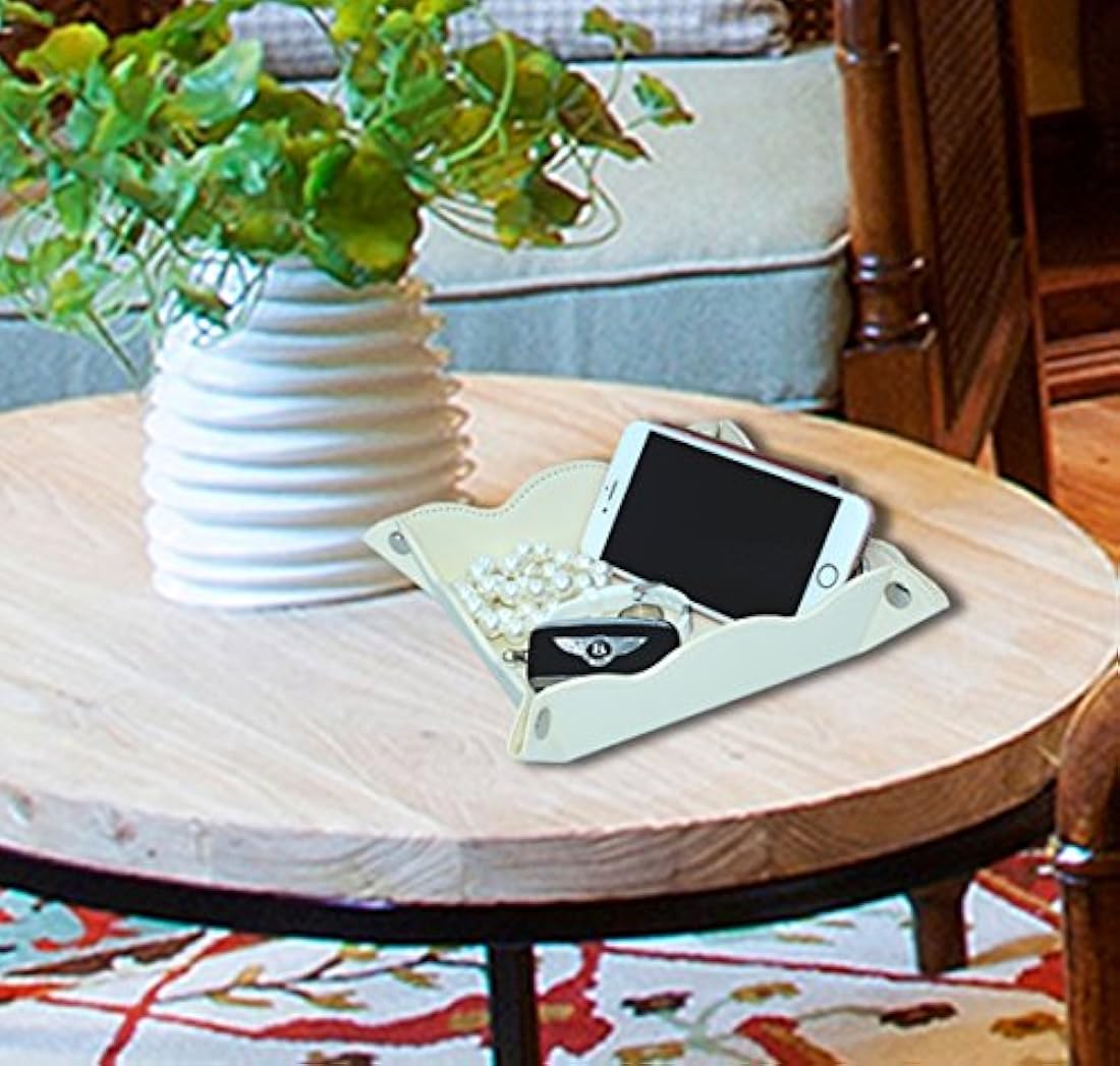 LISRSC - Bandeja de almacenamiento multifuncional de piel