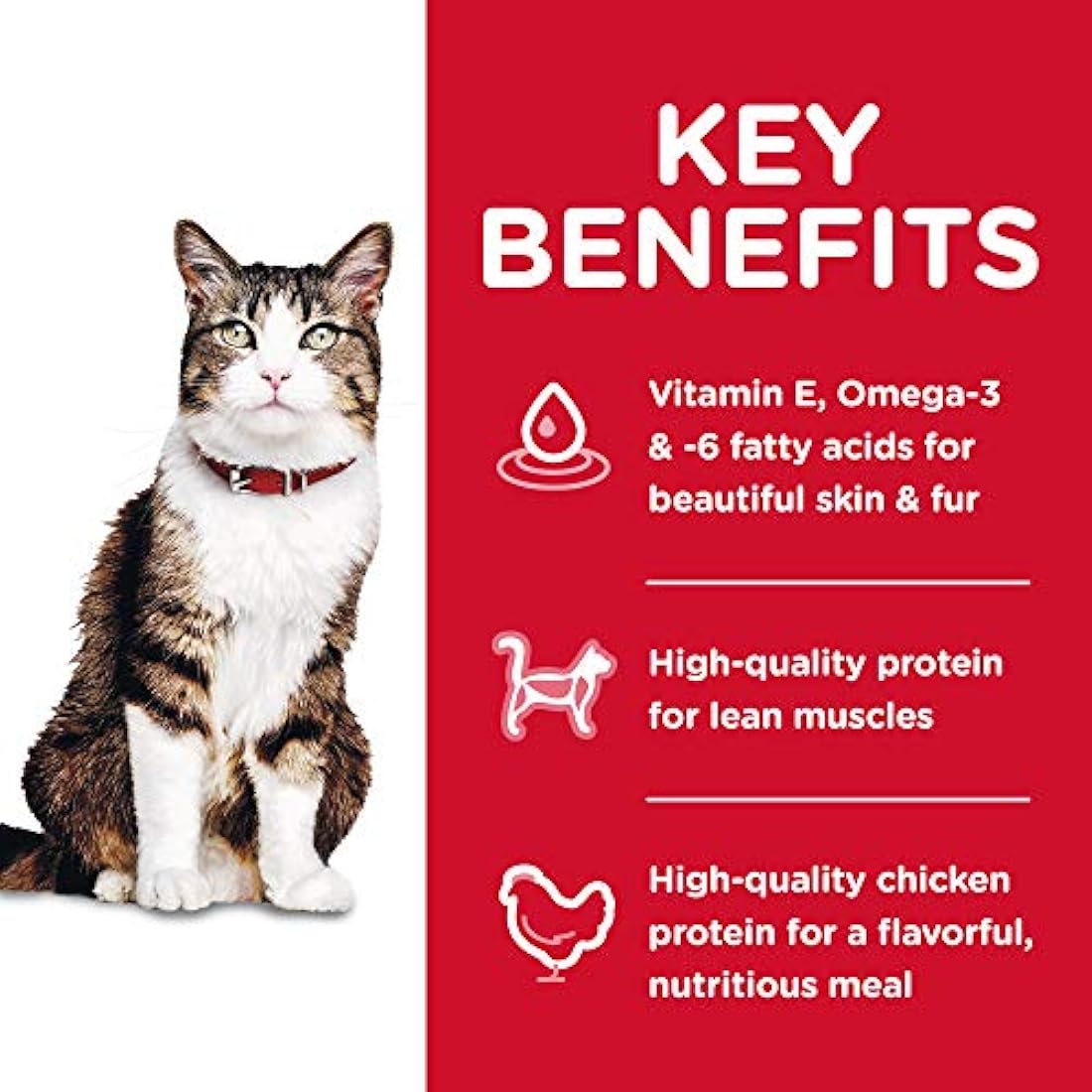 Comida seca para gato Adulto Control de bolas de pelo