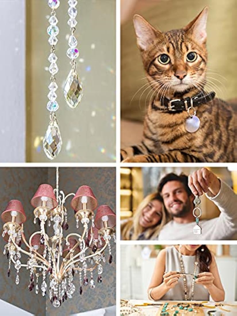 Anillo de salto doble