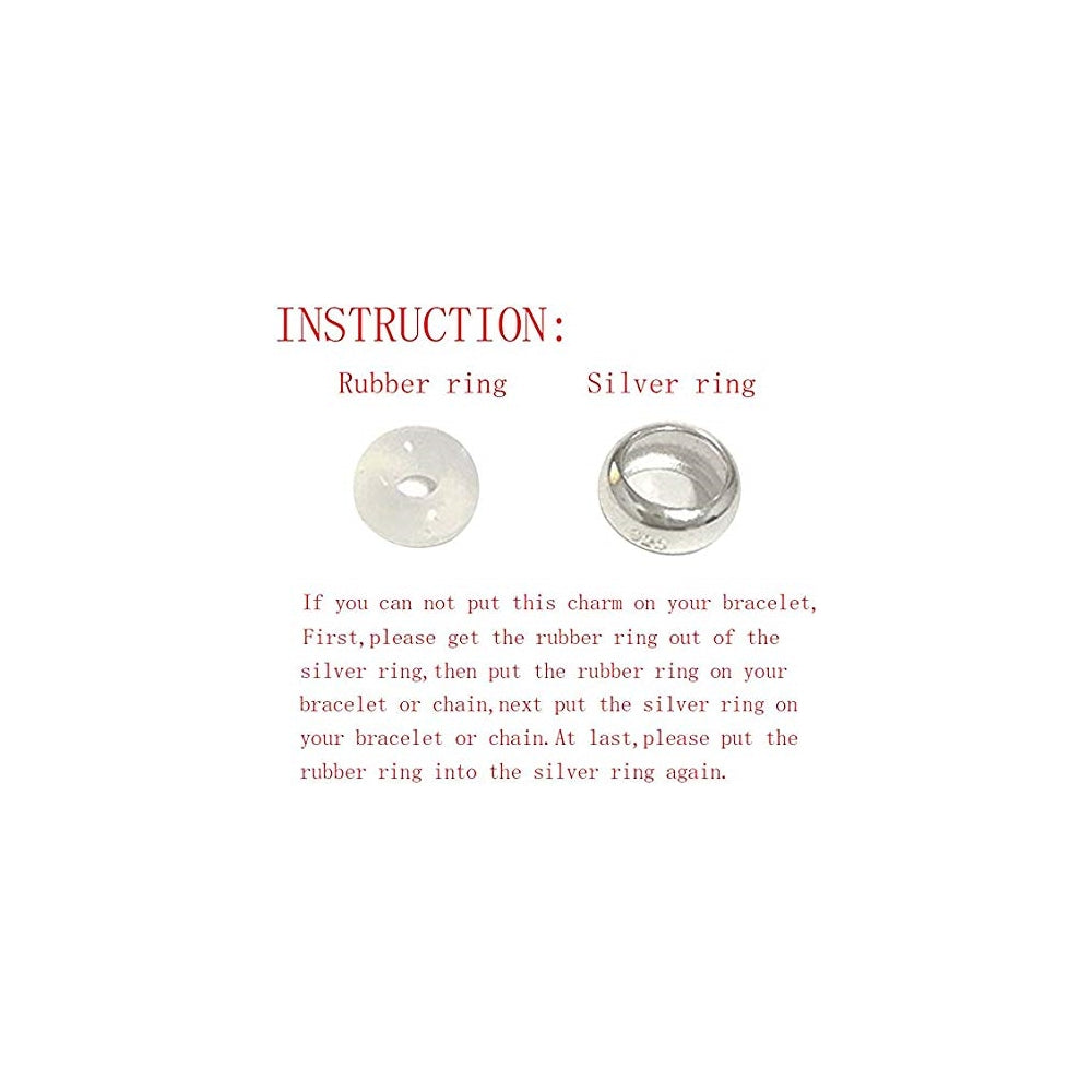 Dijes y Medallas de plata de ley con cierre de clip