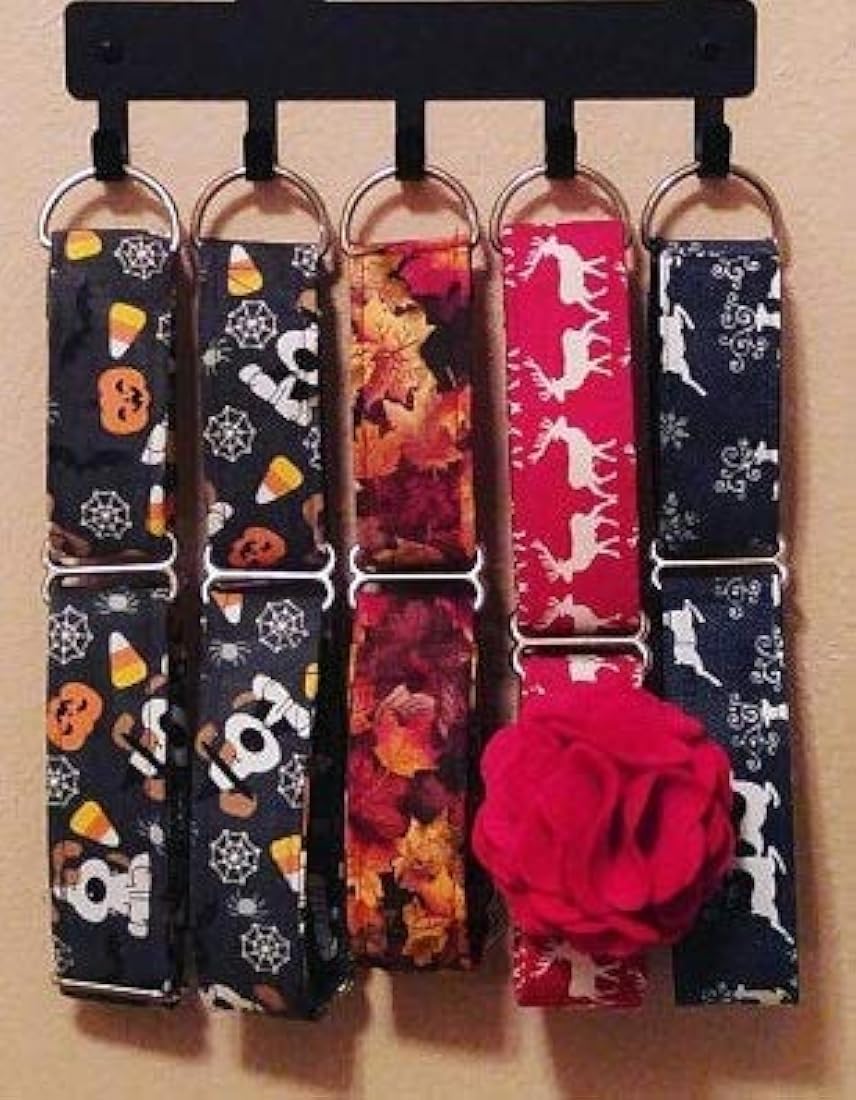 Organizador de llaves y correa