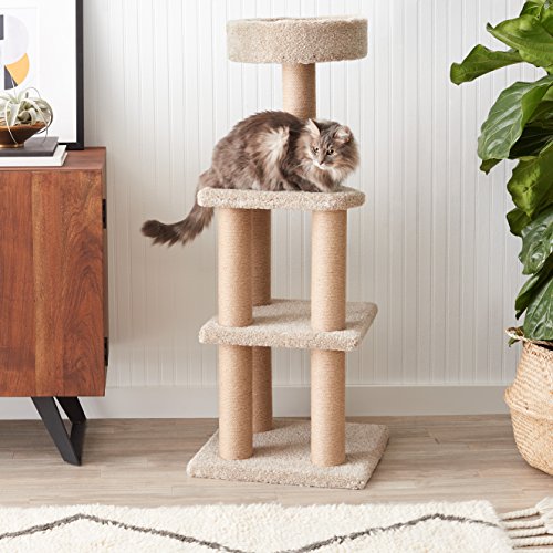 Árbol de gatos con postes rascadores