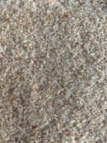 Psyllium Husk Indus Organics, Alta Pureza, 1 Lb, LOTE #2023065750