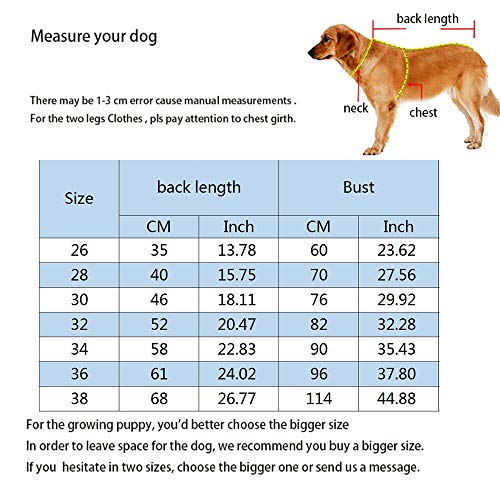 Miaododo Mono de mezclilla para perro mediano y grande para perros, ropa de mezclilla para perros, disfraces para todo propósito, pantalones de perro lavados, chaqueta clásica