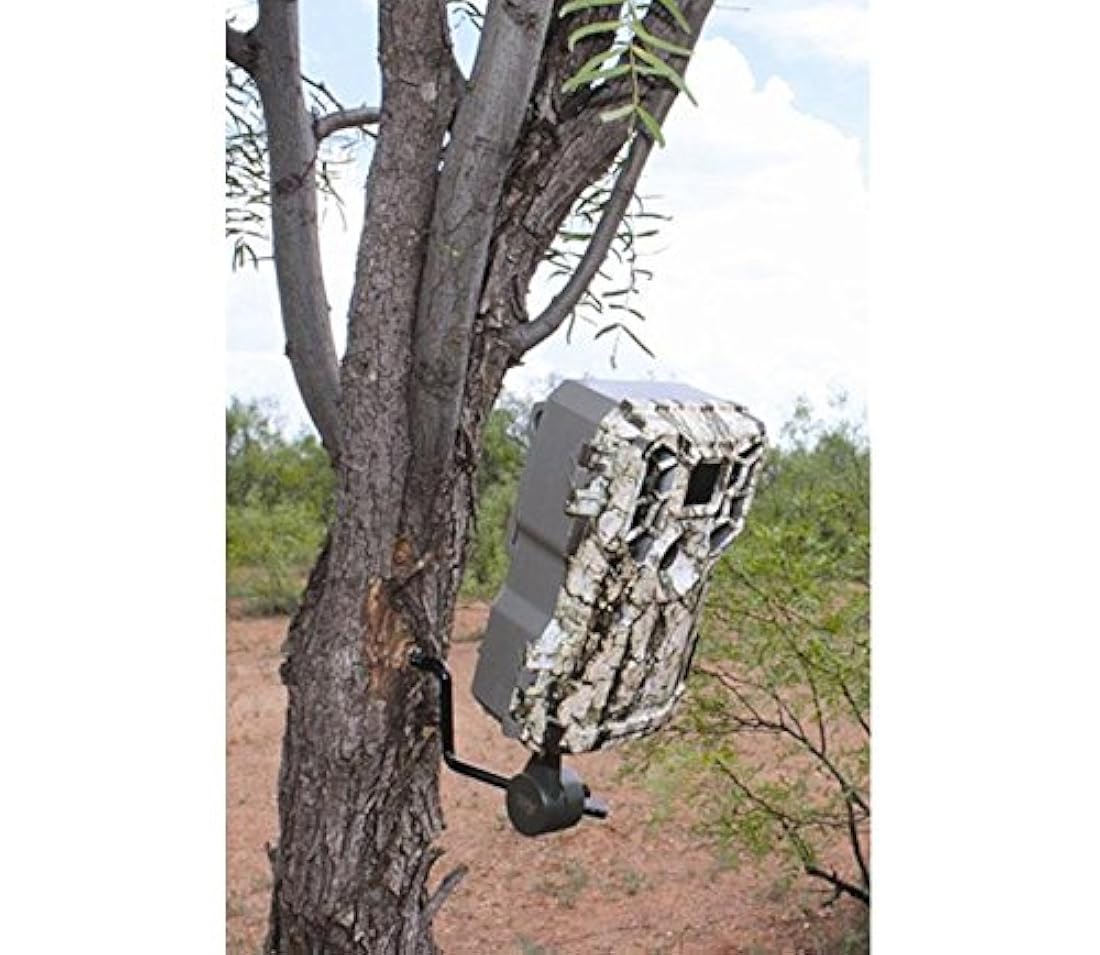 HME Products Economy Trail - Soporte para cámara, Verde