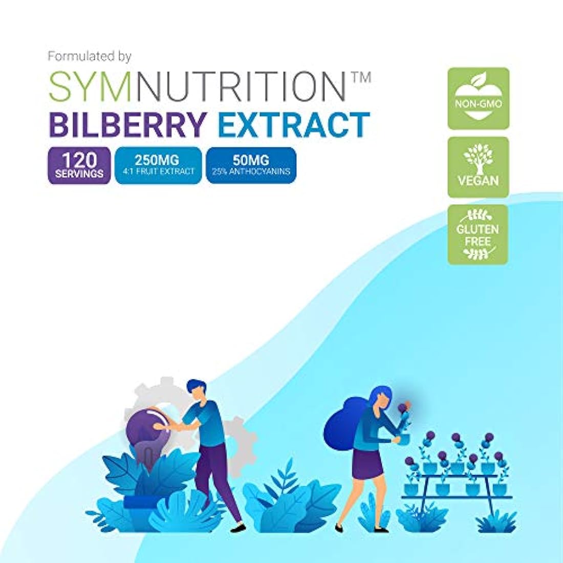 Extracto de arándano 1000 mg, 25% de antocianinas 50 mg, 1