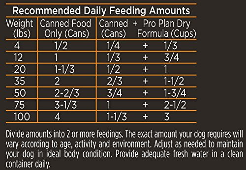 Alimento para perros, sabor carne